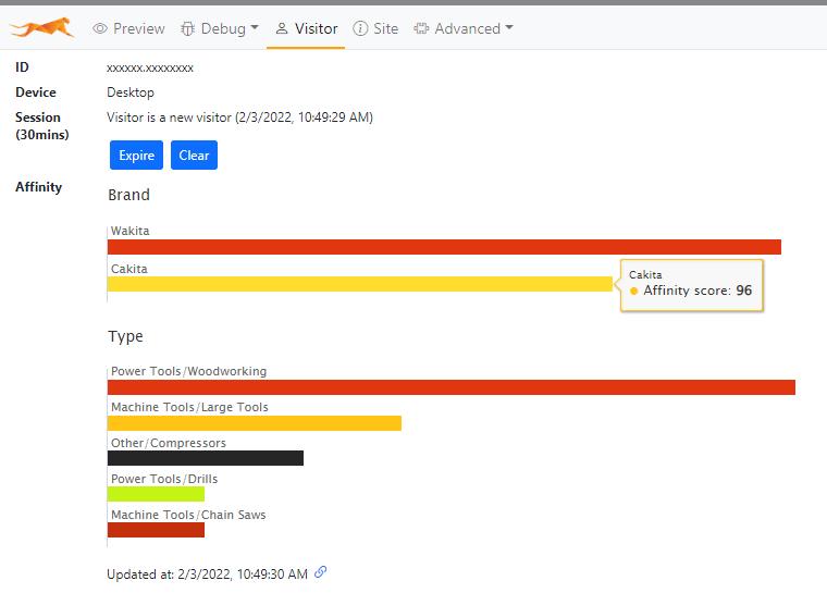 Current visitor's affinity profile in Frosmo Preview